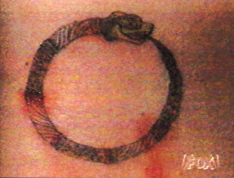 Ouroboros (Snake swallowing its tail - symbol of infinity) Tattoo belongs to