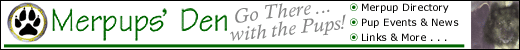 Merpup Den Banner 520 Pixels wide